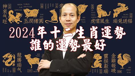 屬龍今年幸運色|2024屬龍者必學！提升運勢財運的顏色攻略 